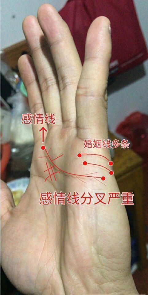 女人手掌出轨纹路图片