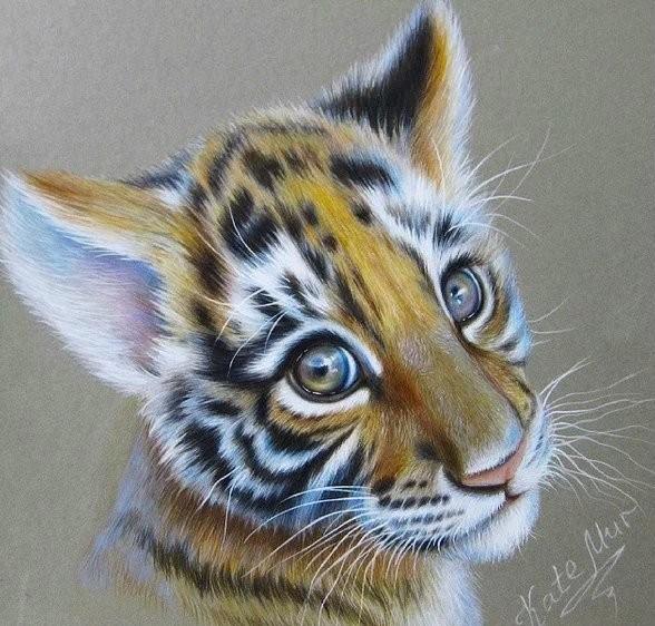 手绘彩铅小动物插画,看这小眼神儿,萌化了