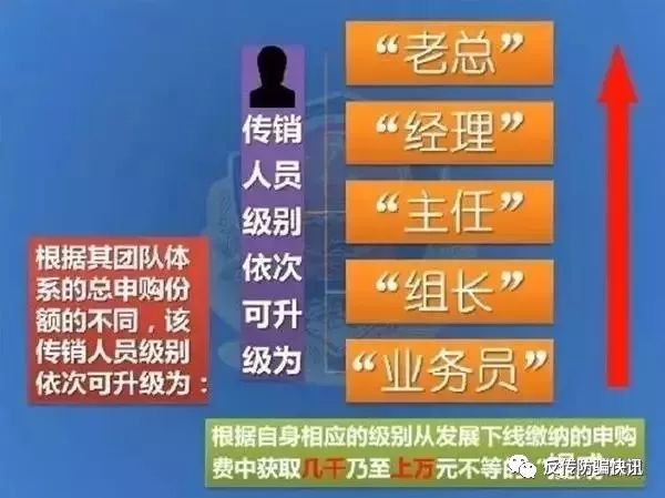 广西传销头目名单公布图片