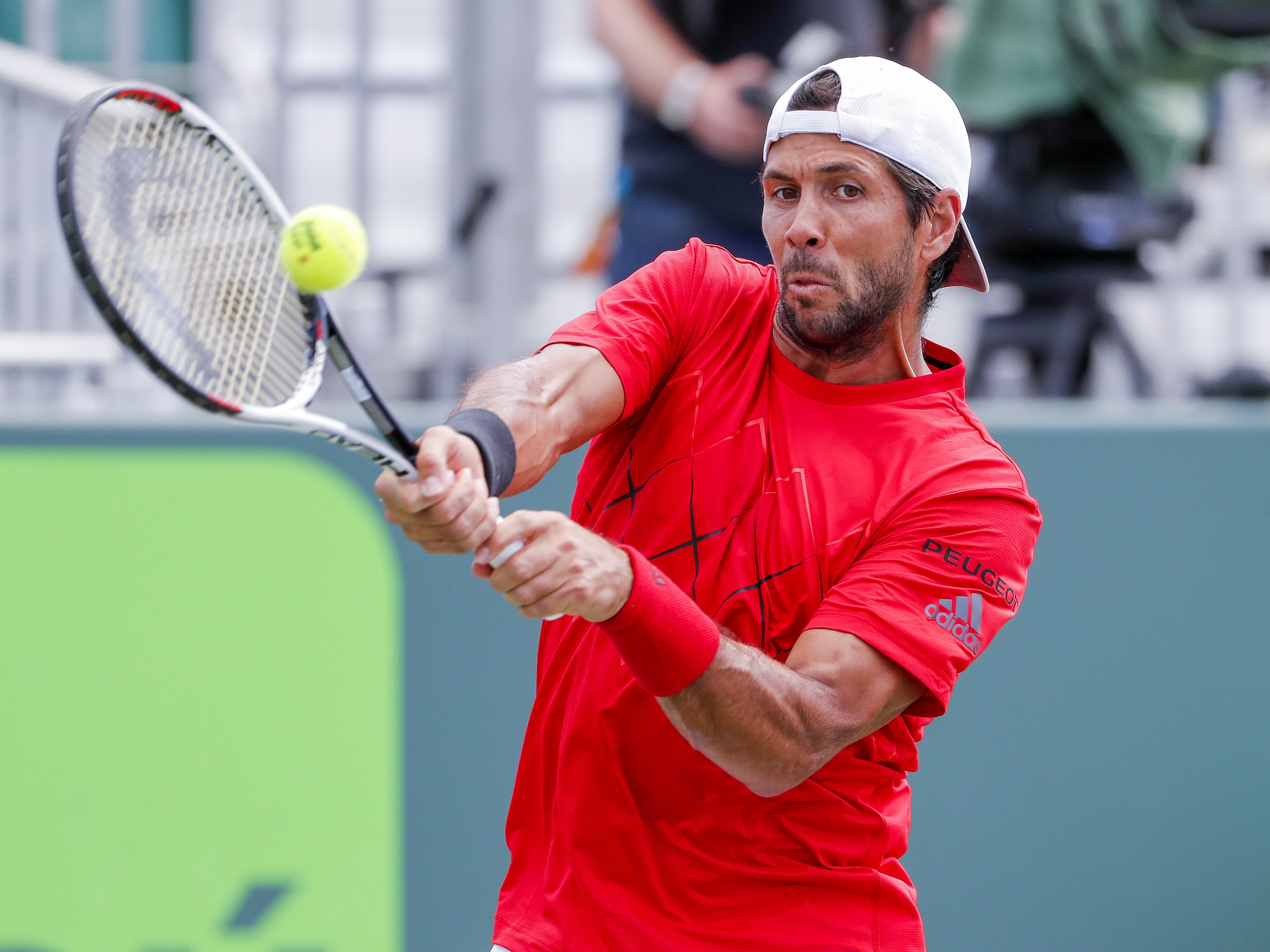 网球——迈阿密公开赛:布斯塔晋级(2)