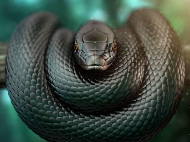 非洲大陆有种蛇,学名叫做黑曼巴蛇,成年后身长都在2米以上,体型细长且