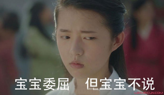 何蓝逗被卷入吴秀波事件中,何蓝逗与吴秀是怎么认识的呢?