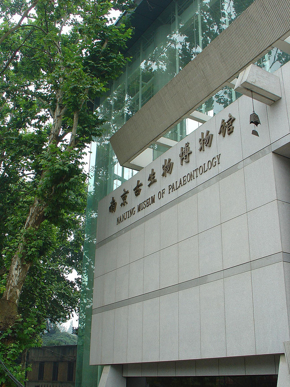 南京古生物博物馆# #恐龙化石#  你是否想过,能在现实中看见恐龙的