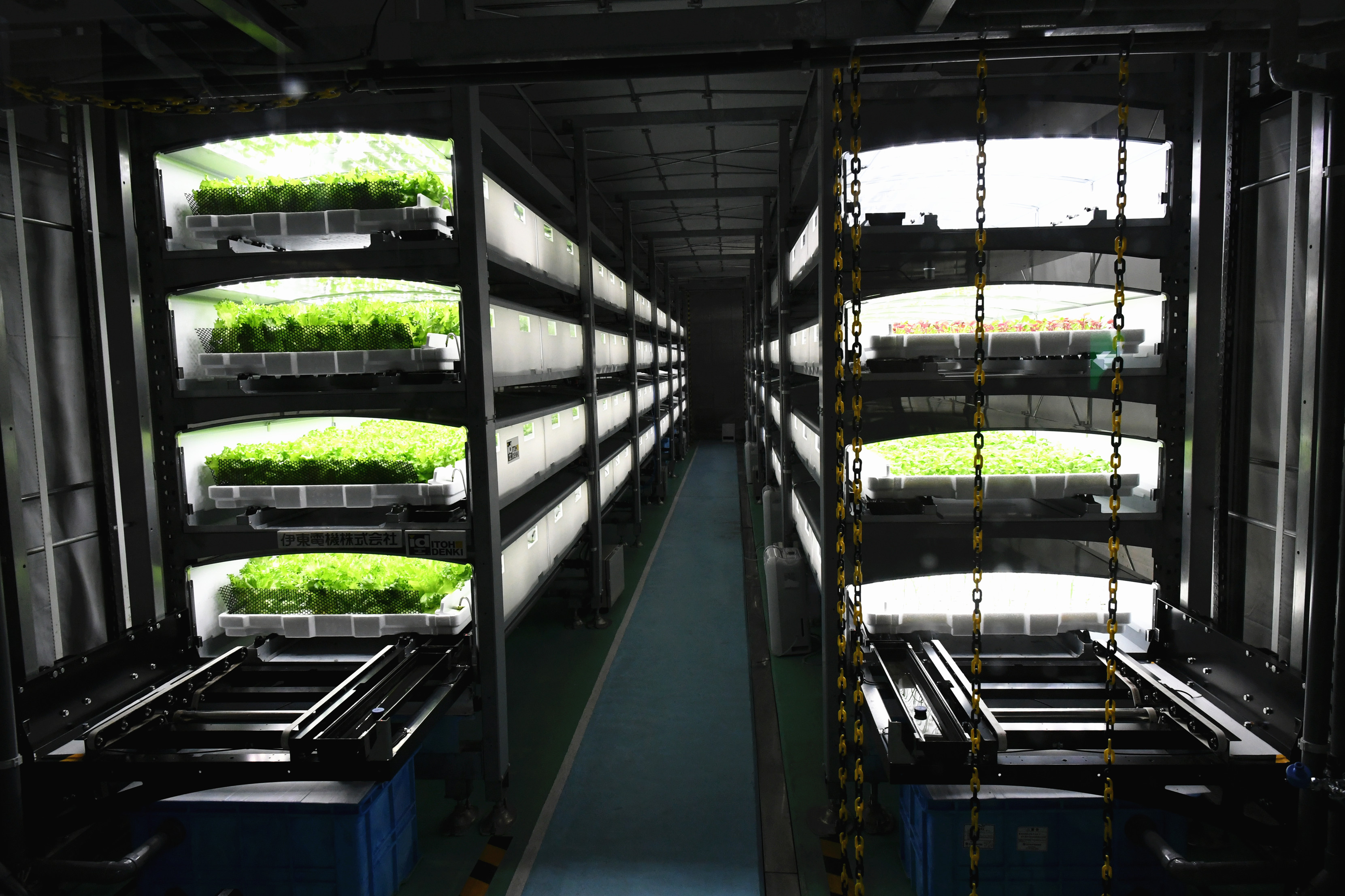 走进世界首个全自动地下植物工厂(3)