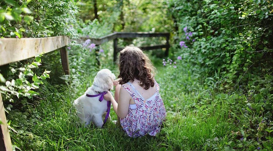 女孩與貓狗形影不離患犬弓蛔蟲病致失明 家有萌寵不要犯這些錯