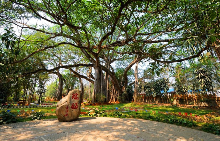 瑞丽旅游必去景点有哪些,冬季来云南旅游领略异域风情