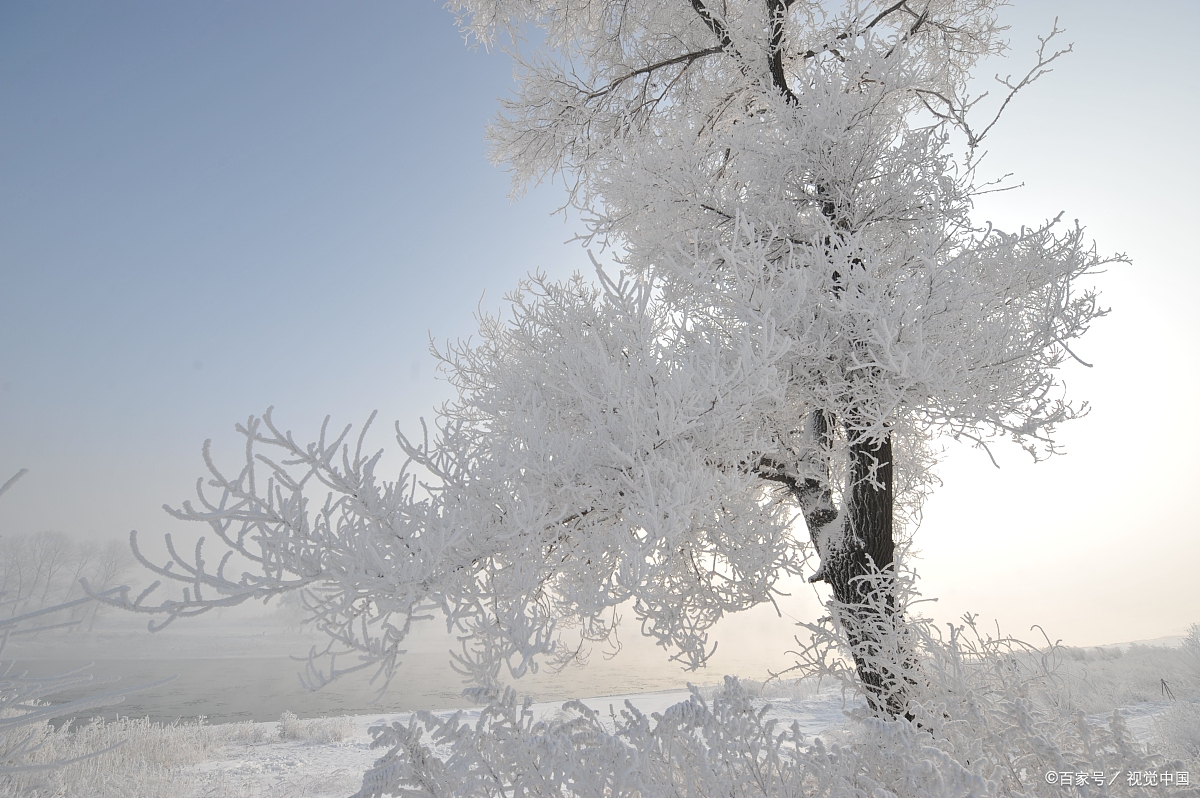 每到冬季,吉林市松花江畔就会出现一片神奇的白色雾凇景观,吸引着无数