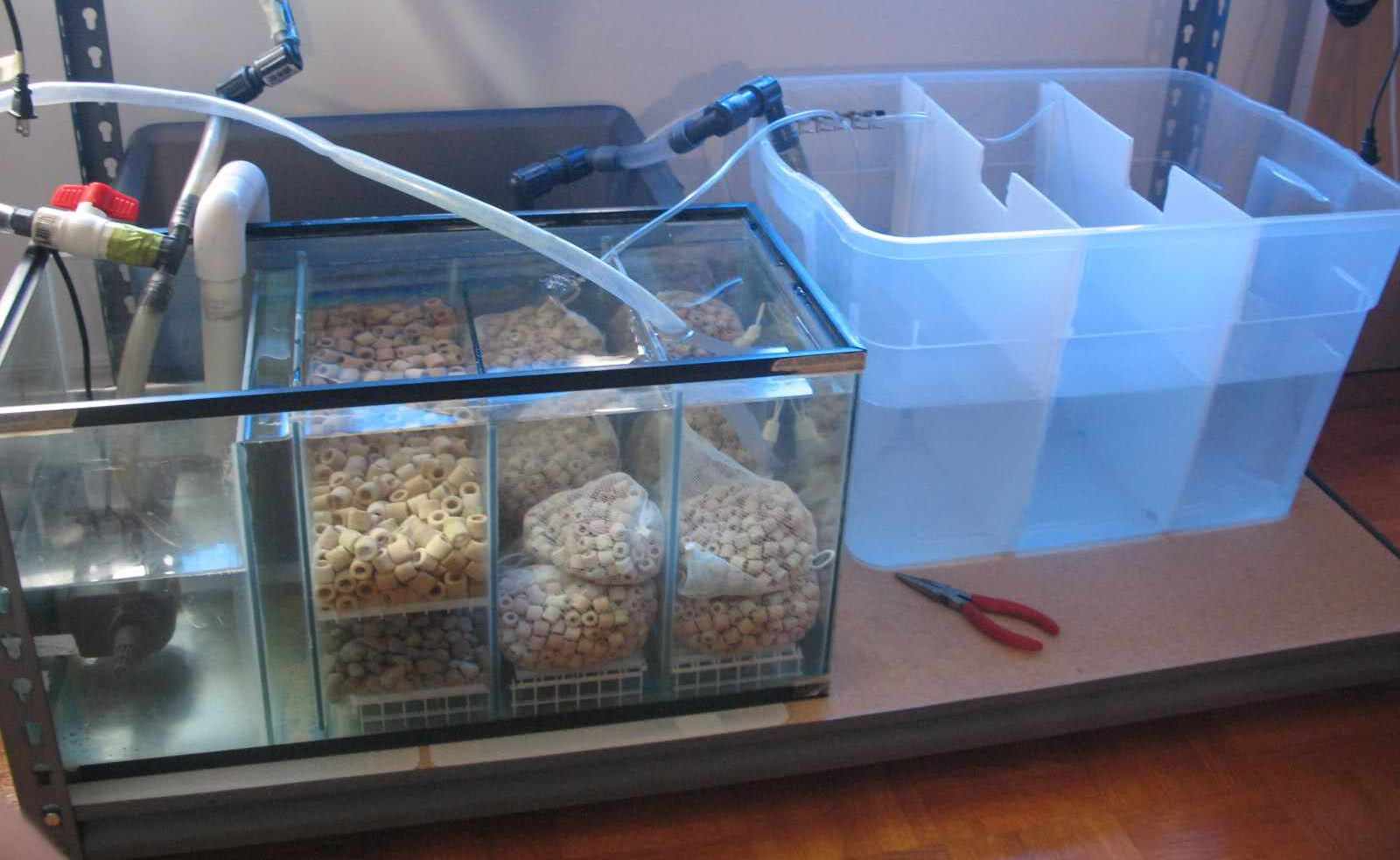 鱼缸的过滤系统究竟是怎么工作的,应该怎样配置自己的过滤系统