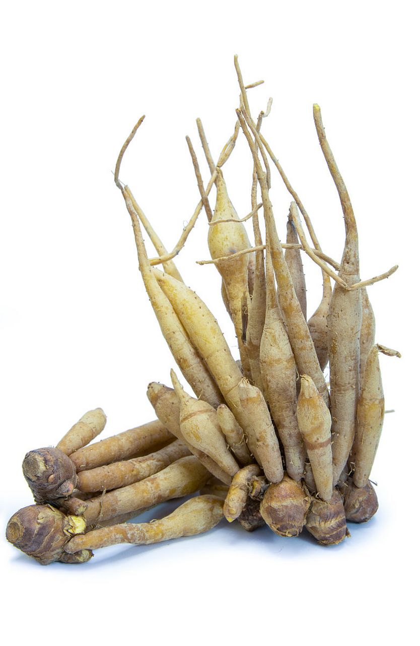 太子参# 的功效与作用  太子参又称为孩儿参,童参,是人参的一种.