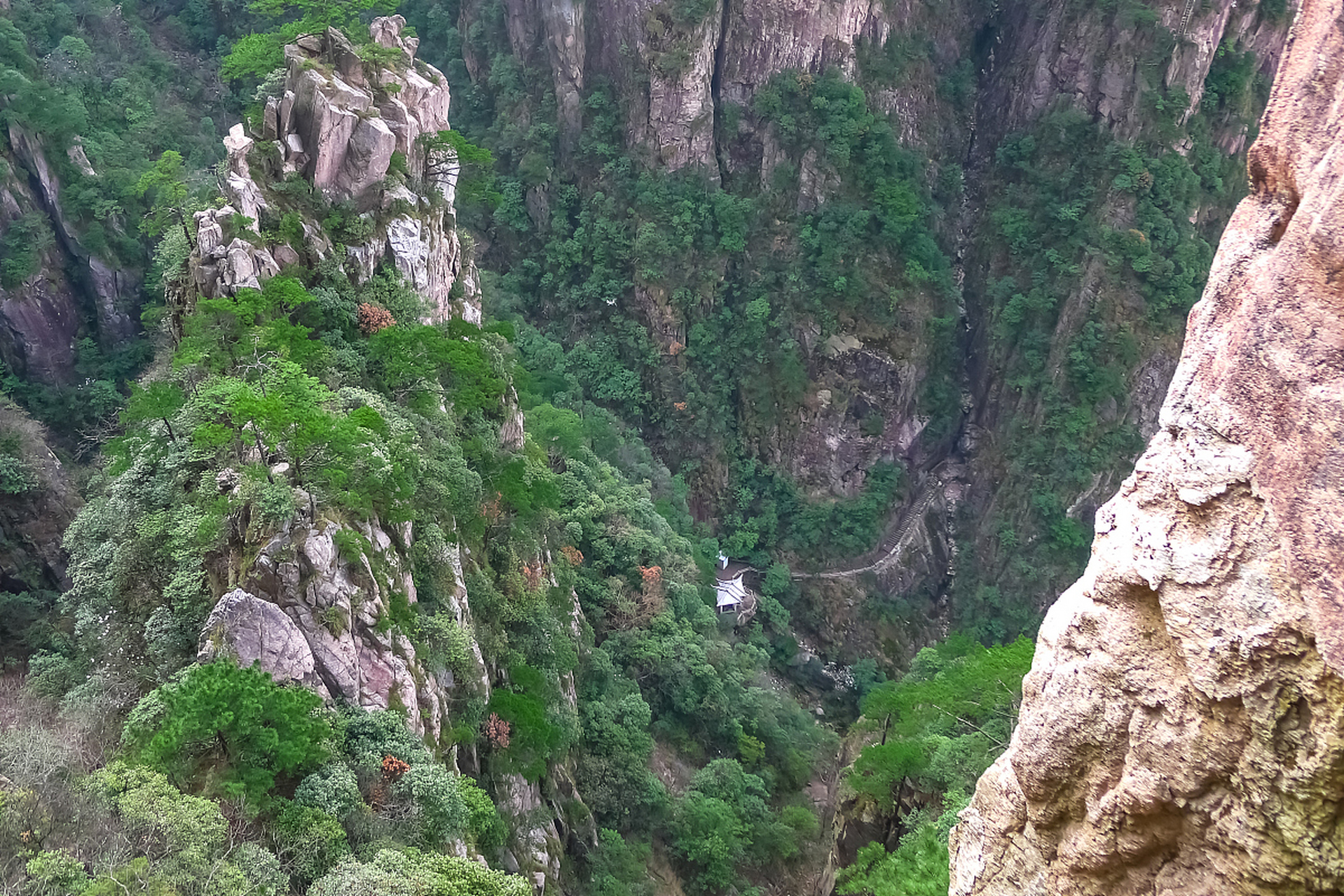 王莽岭风景图片