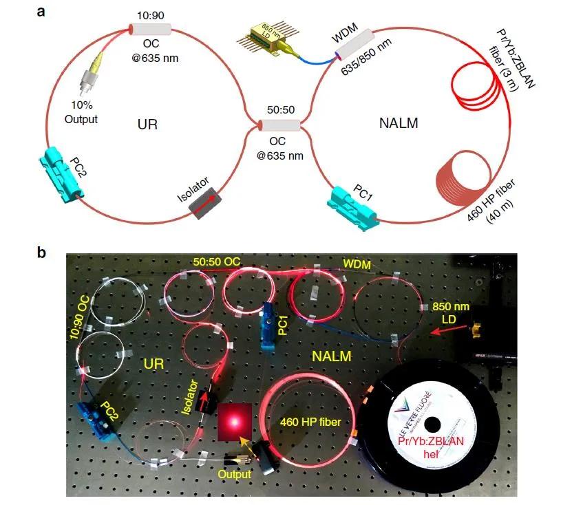 (a)示意图和(b)全光纤结构的635 nm dsr锁模光纤激光器的照片