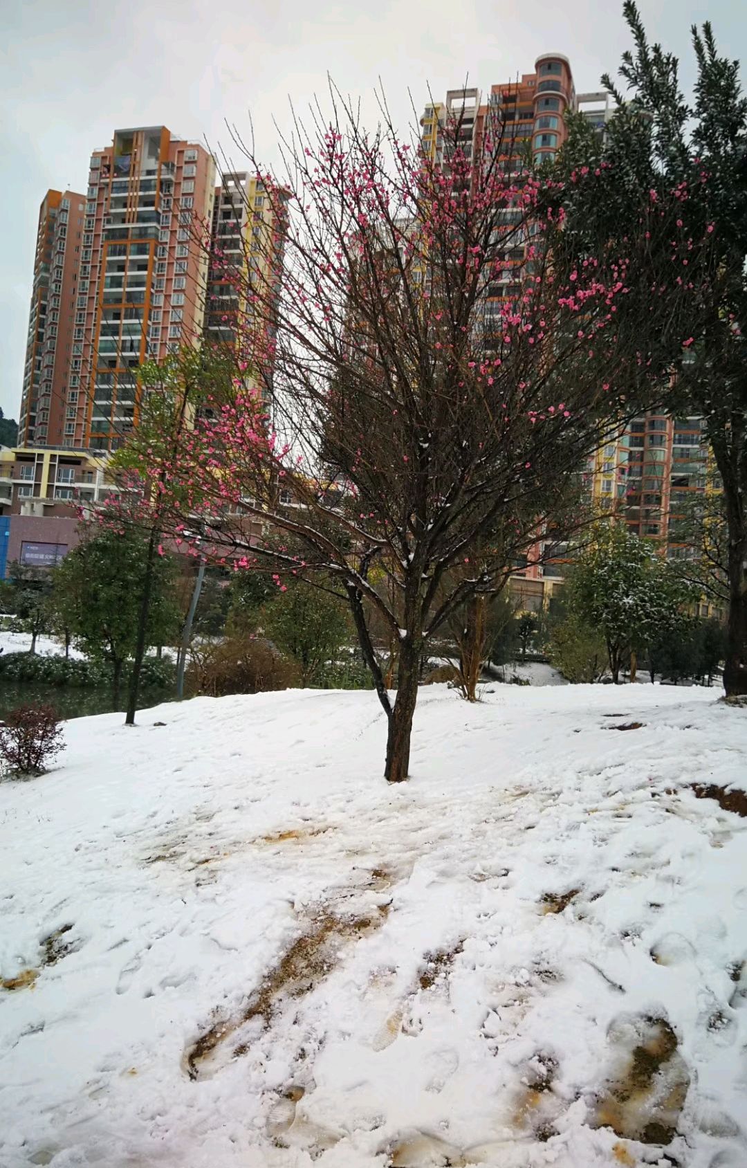 广东南雄下雪图片