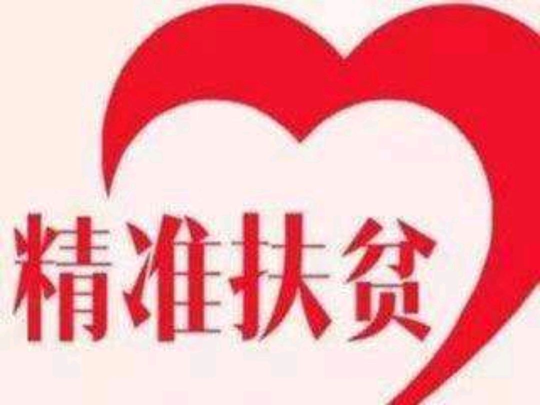 关于精准扶贫之"六个精准"