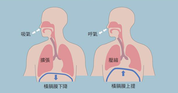 長生不老的傳說和初探