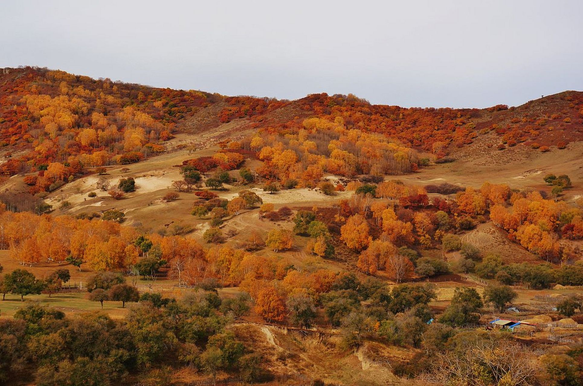 位于内蒙古兴安盟五原县,是融合丰富特色文化,拥有悠久历史的旅游胜地