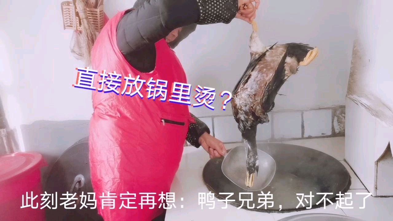 农村妈妈杀鸭子,下手稳准狠,她却这样烫鸭毛?简直神了!