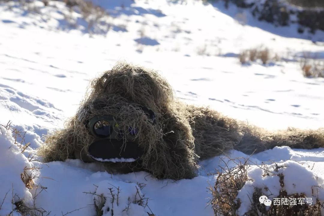 狙击手在茫茫雪野进行"狙杀"训练,只有保存自己才能消灭敌人