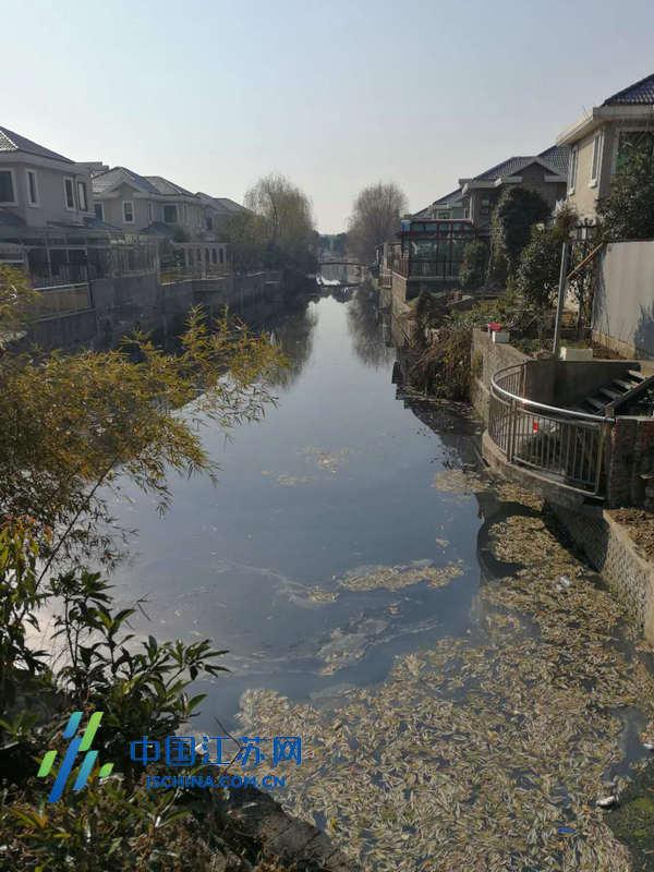 常州遥观镇环保在行动:3年完成12条黑臭河道治理,新型工艺保乡镇绿水