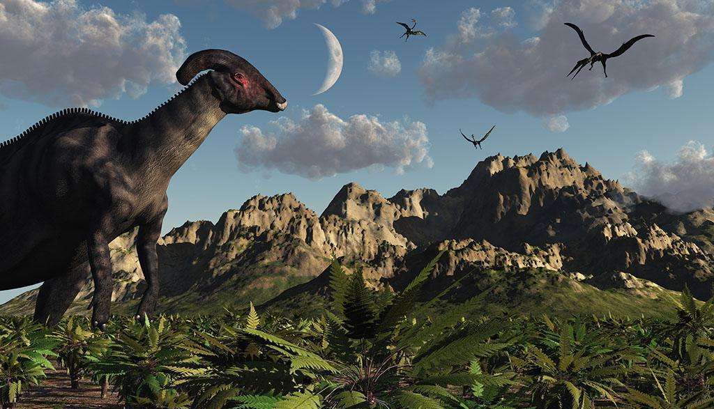 白垩纪时期的地理环境