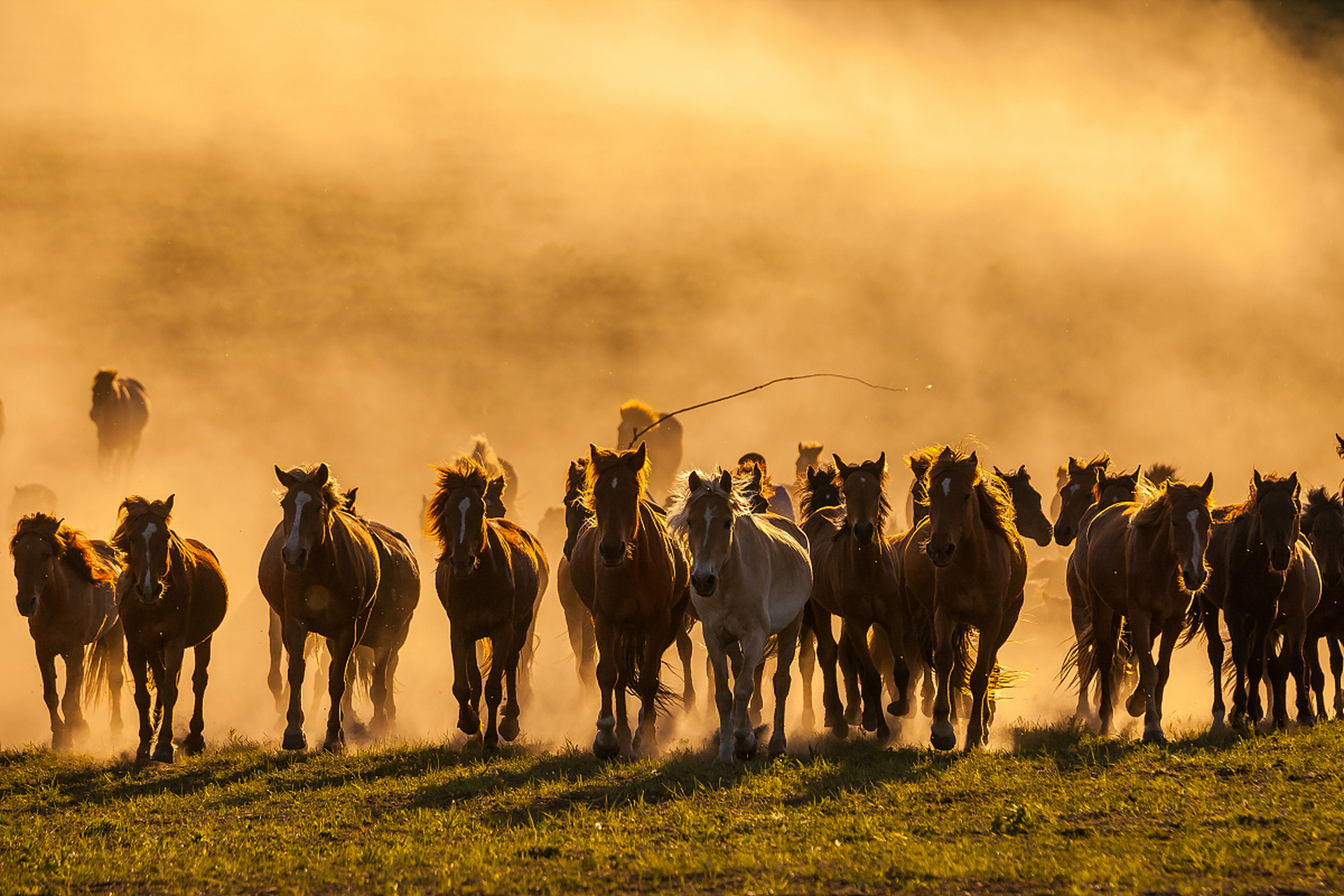 愿我和百家号一起策马奔腾,一路陪伴.