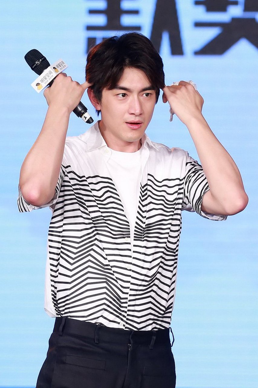 林更新:一个在舞台上绽放光芒的演员  林更新,一个名字,一个标志,一个