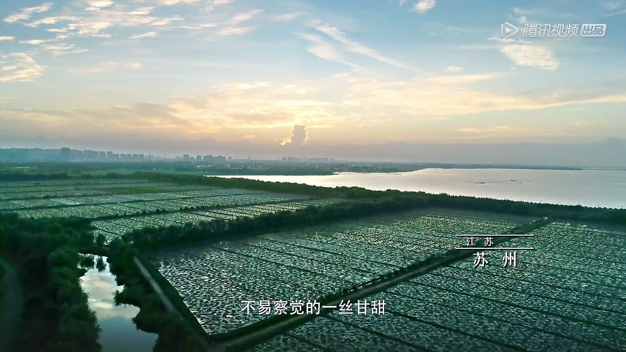 请问《风味人间》是个什么"选美"节目吗?