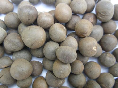 茶油- 热门商品专区