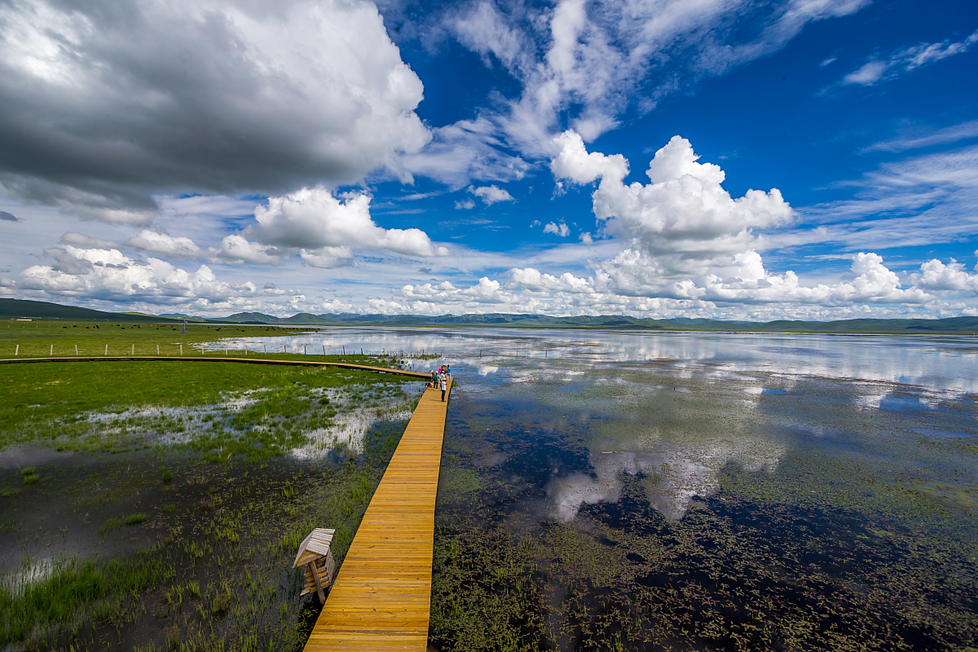 旅行中的治愈日常# 纳帕海自然保护区位于云南省迪庆藏族自治州的