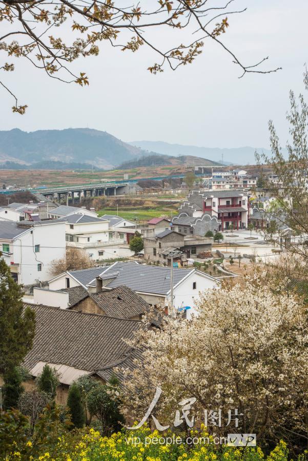 2019年3月19日拍摄的湖北竹溪县中峰镇甘家岭村.