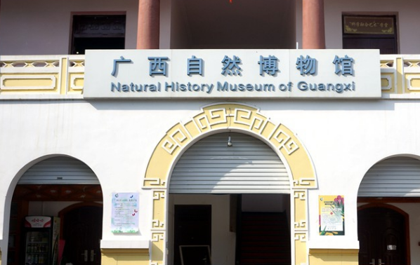 实拍:广西自然博物馆,全天免费参观,拓宽视野了解自然的好去处