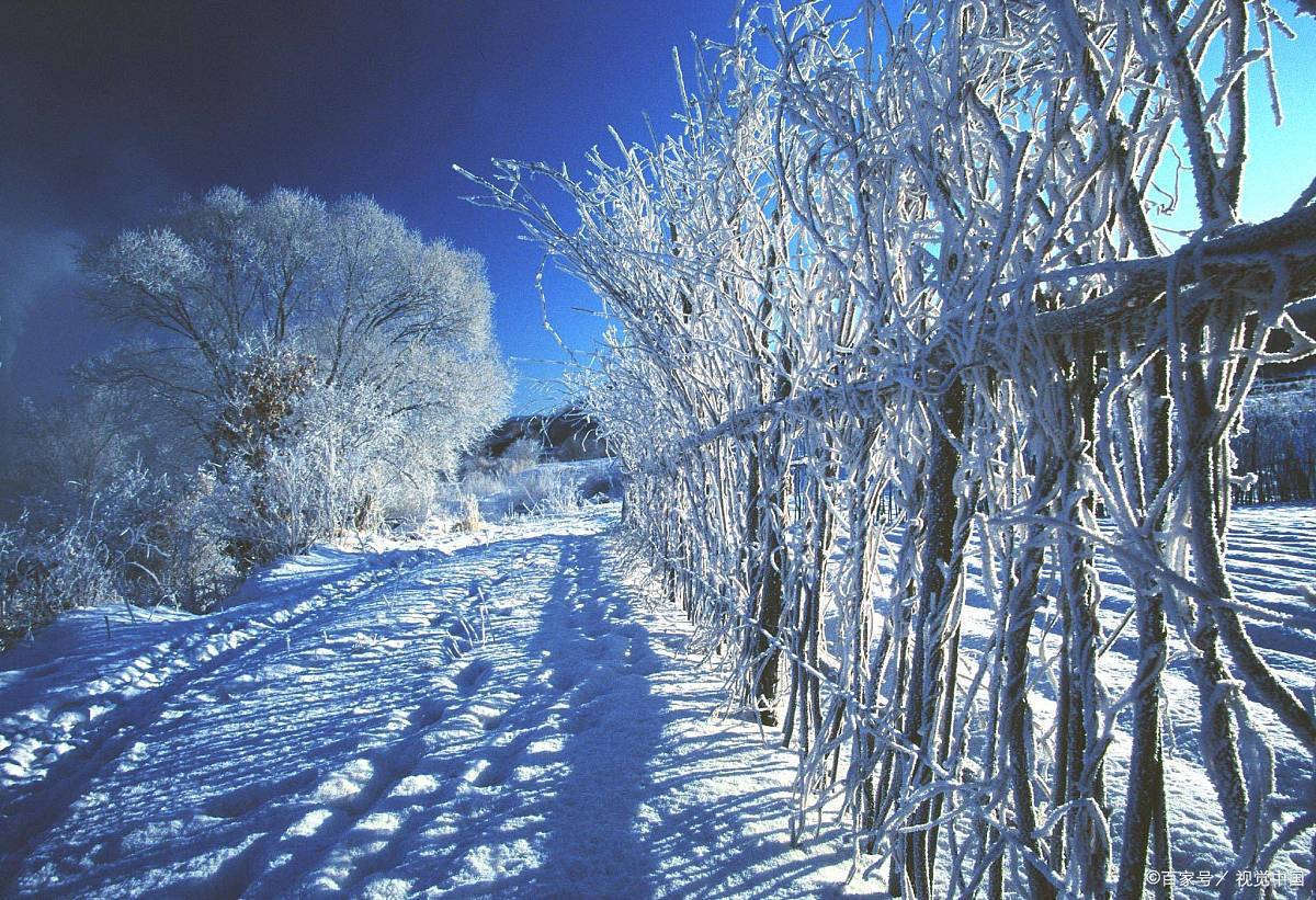 走进冬月,愿我的想念,让你温暖