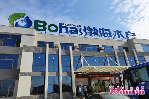 渤海水产:以"互联网 水产养殖"促产业升级