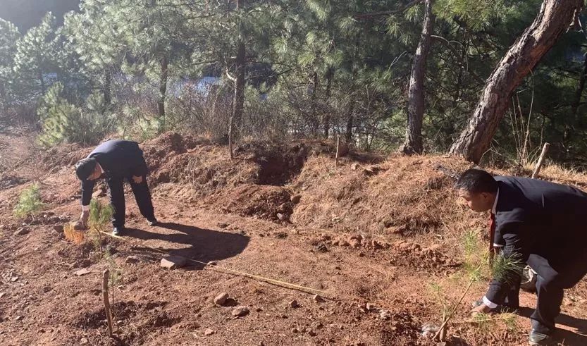 【基层播报】兰坪:实地检查补植复绿生态修复情况