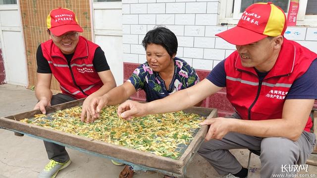 视频|甜水张庄脱贫的日子越来越近了