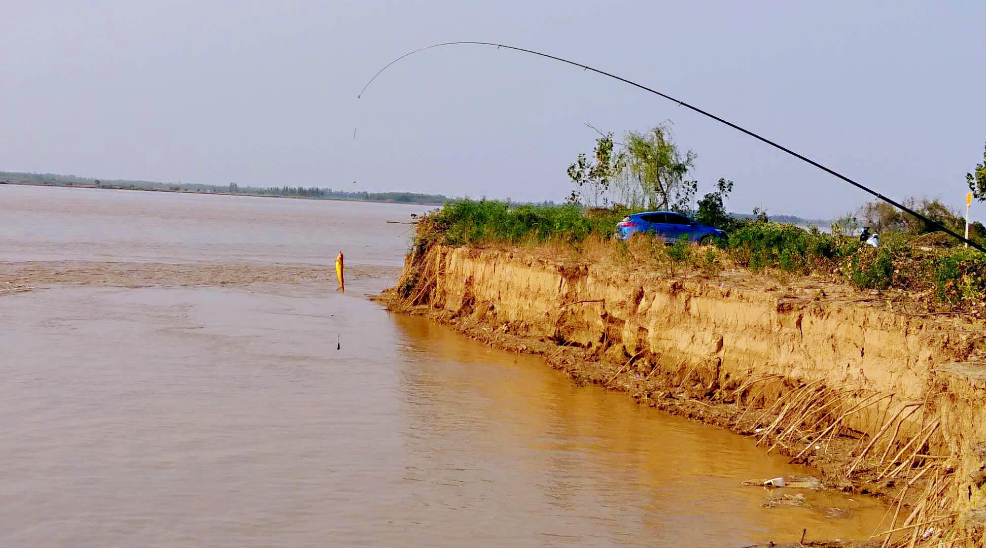 小浪底水库持续放水,黄河中下游的"钓鱼季"即将来临!