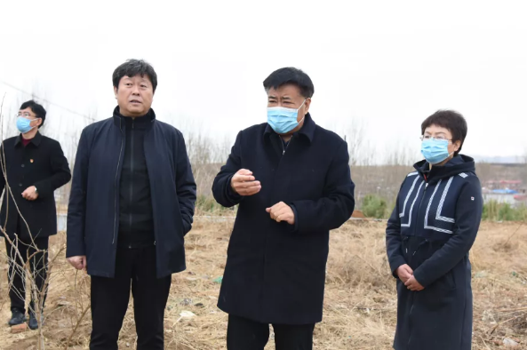 鞠世闻督导调研绿化工作