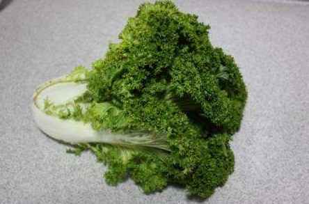 美食:鸡冠菜,色泽碧绿口感脆嫩,一种低脂肪低热量的绿色食材!