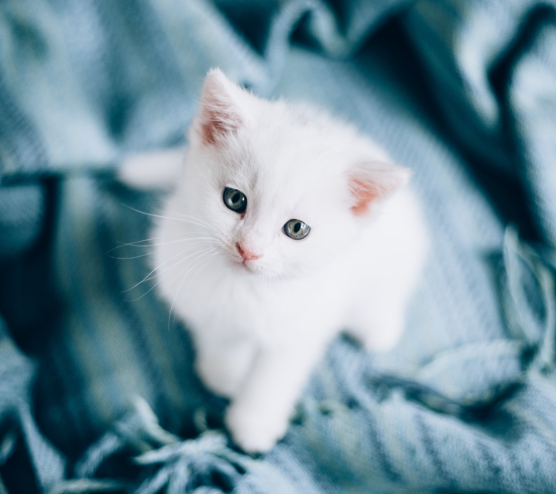 医学类三个比较吃香的专业,高薪水好就业,是哪三个呢?