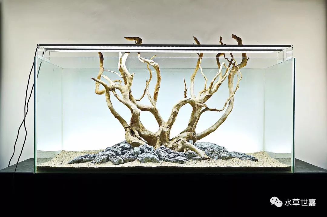 分享一波收藏许久的造景缸
