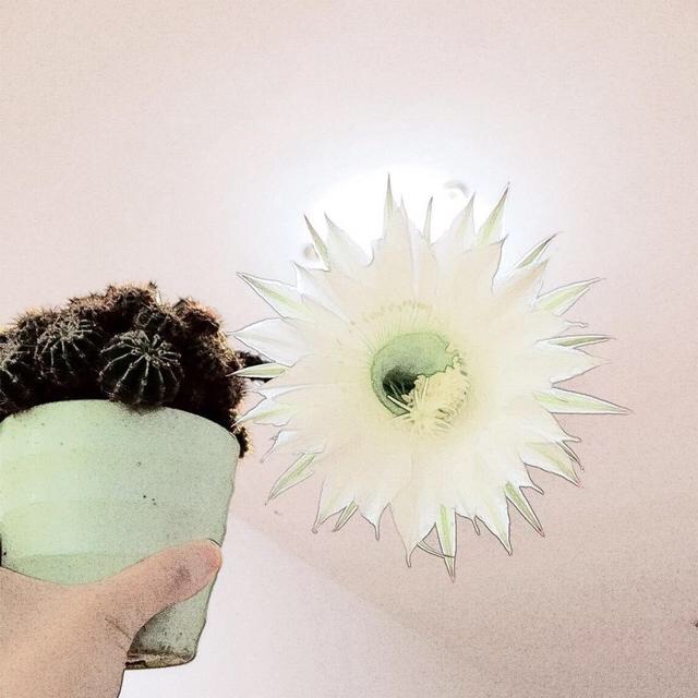 让声音变好听的简单方法