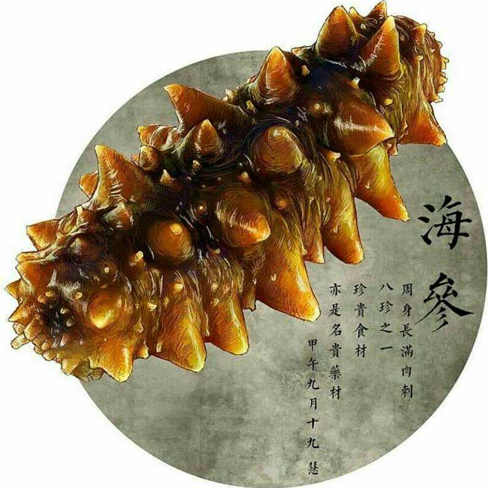 辽宁大连即食海参的正确做法