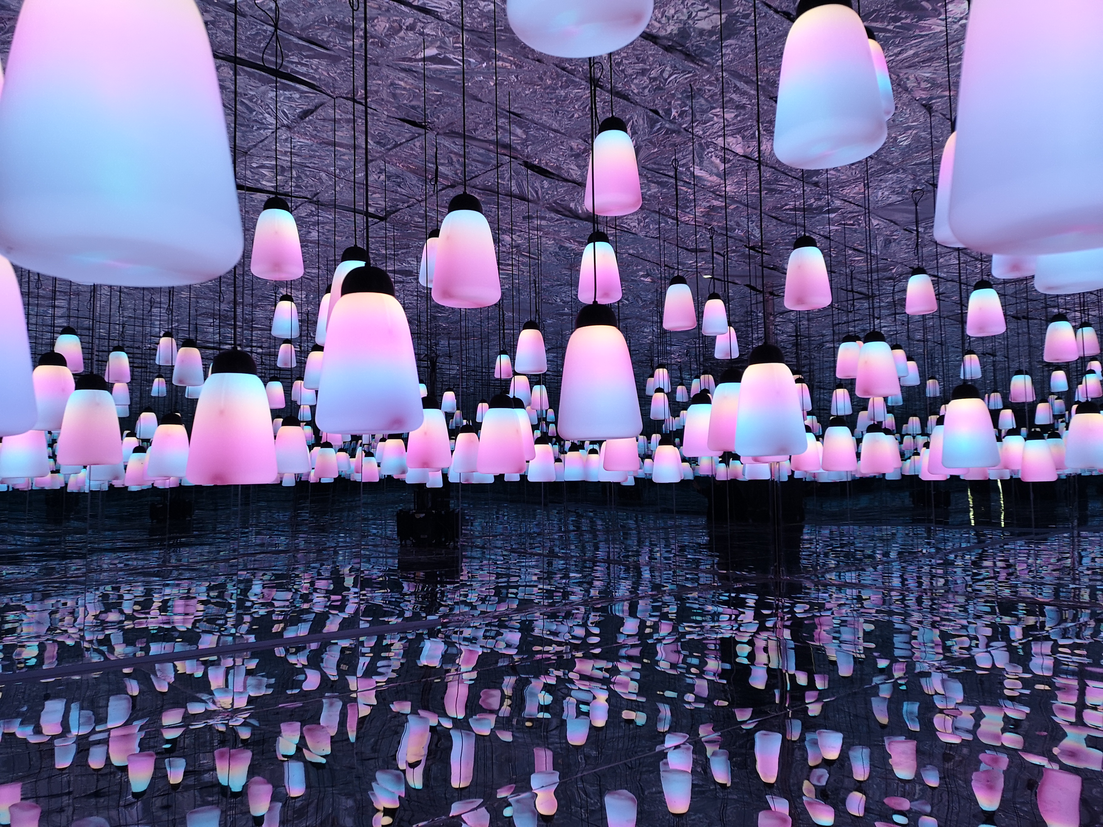 元宵节,去翰园赏花灯,打卡网红呼吸灯,你在吗?