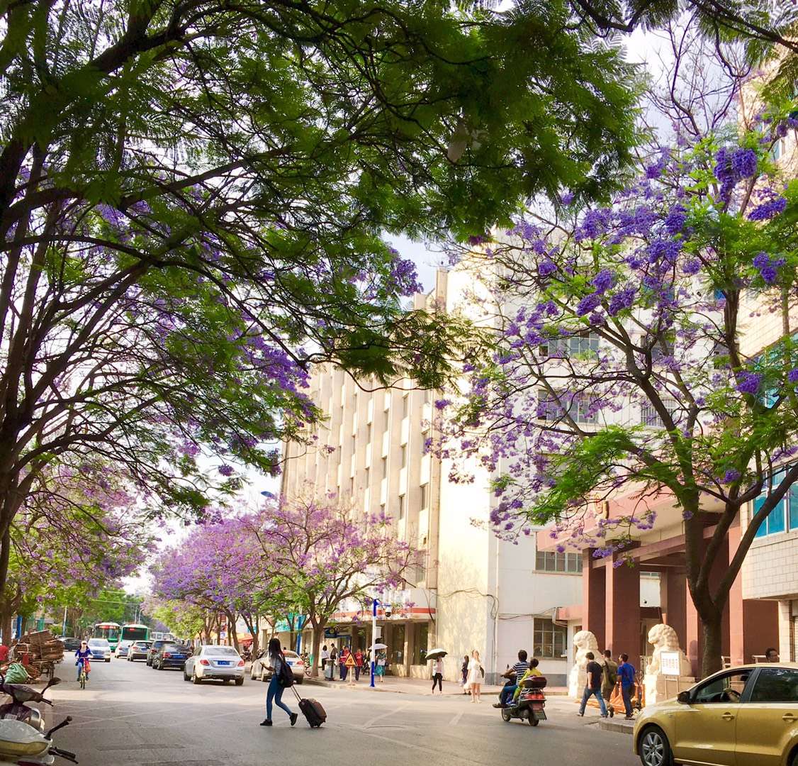 教场中路的冬季与夏季