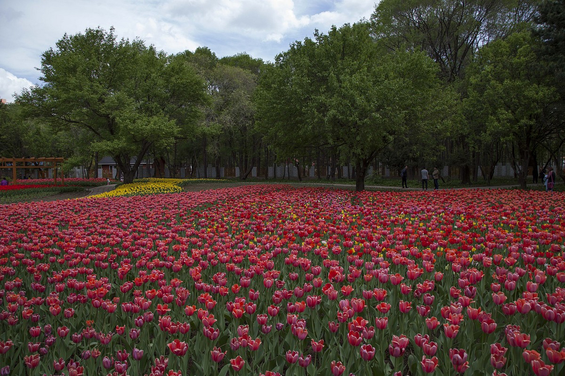 镜头里的春天# 春季旅游长春植物园内不仅有着丰富的植物资源,还帐揪