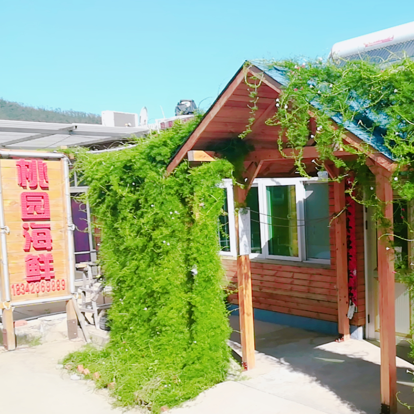 菊花岛住宿-菊花岛桃园海鲜渔家院-菊花岛民宿-菊花岛原生态