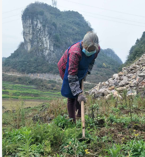 六枝特區龍河鎮:防疫生產兩手抓 春耕備戰正當時