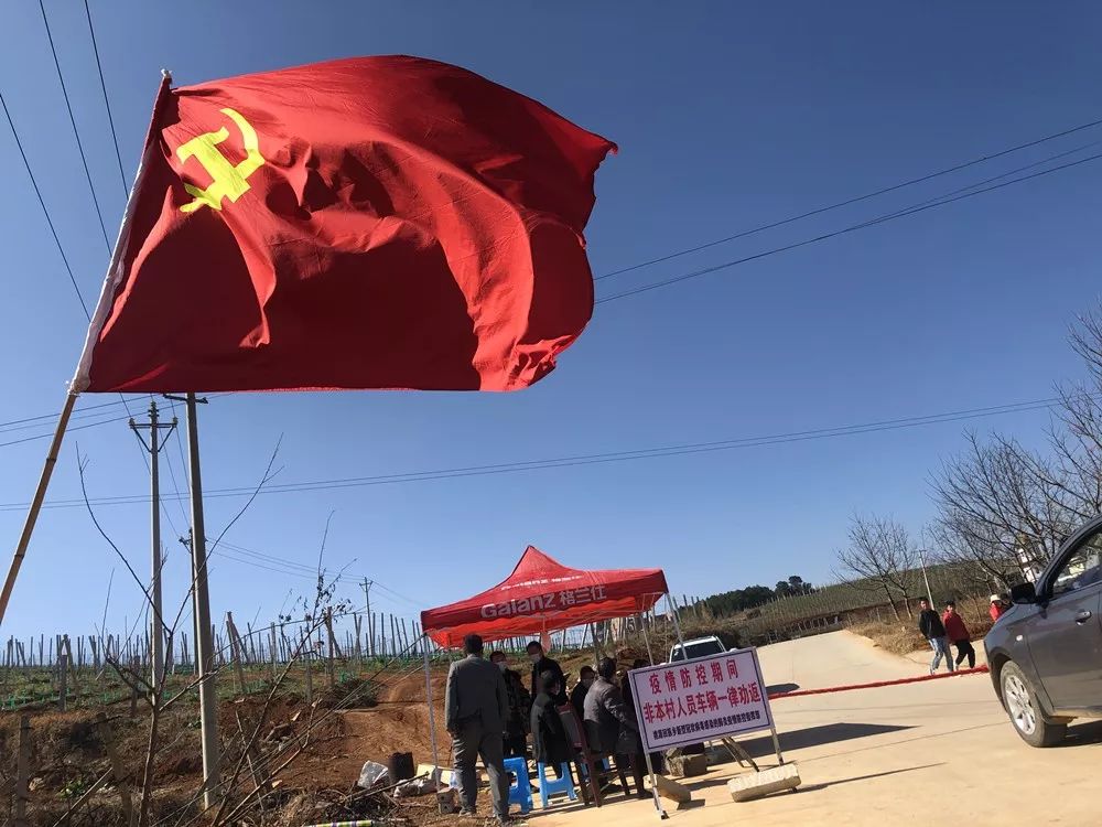 鲁甸县桃源乡党员突击队集结,构筑阻击疫情的坚实战斗堡垒