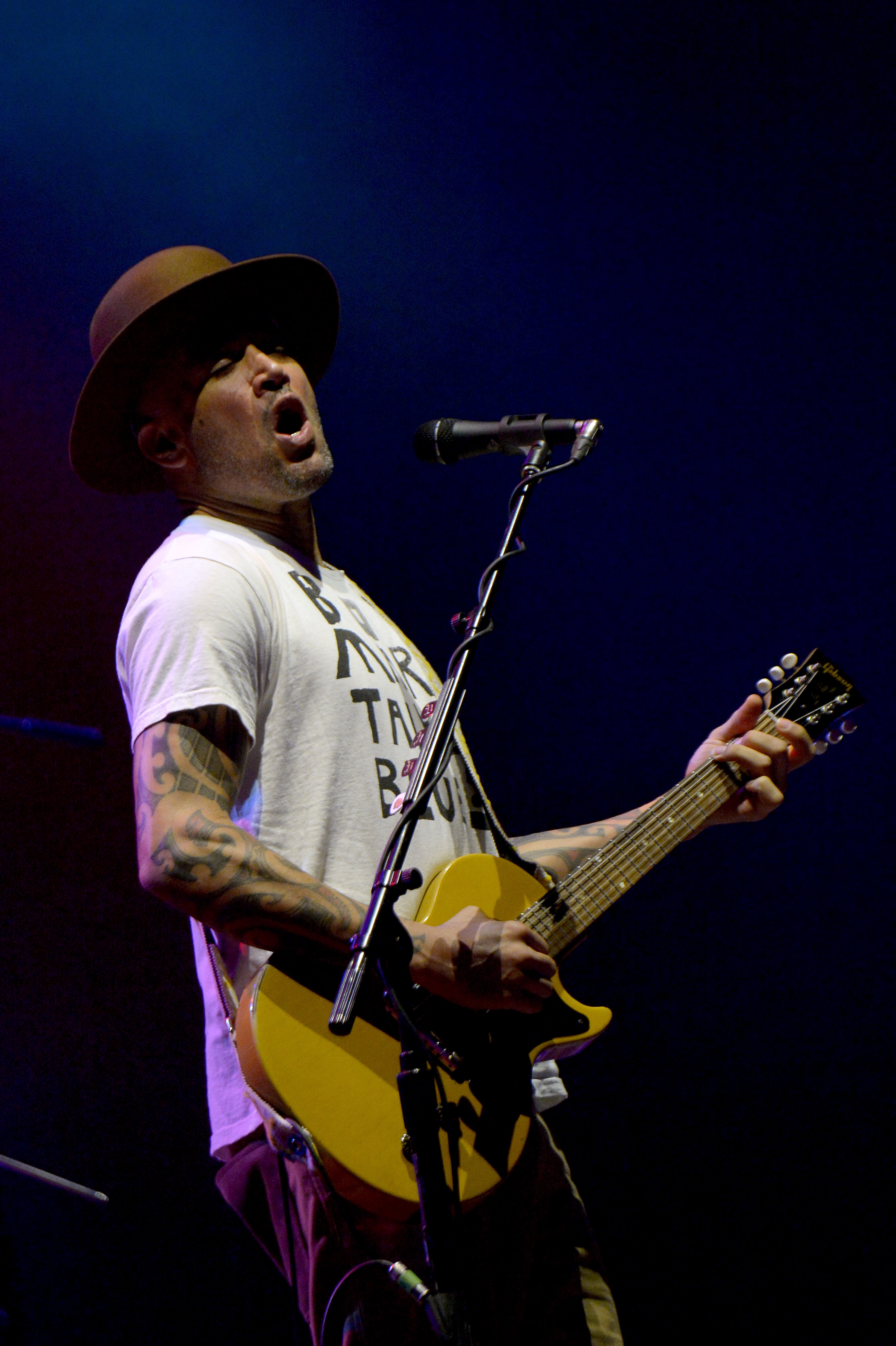 2019法国les vieilles charrues音乐节(25)