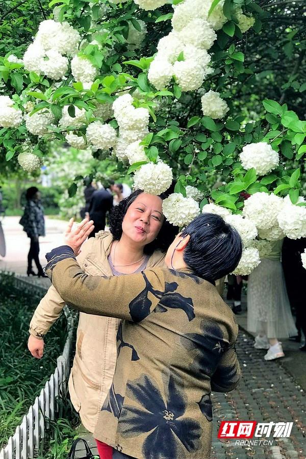 挂职者说|陈旷:琼花盛开,闻到的不只是花香