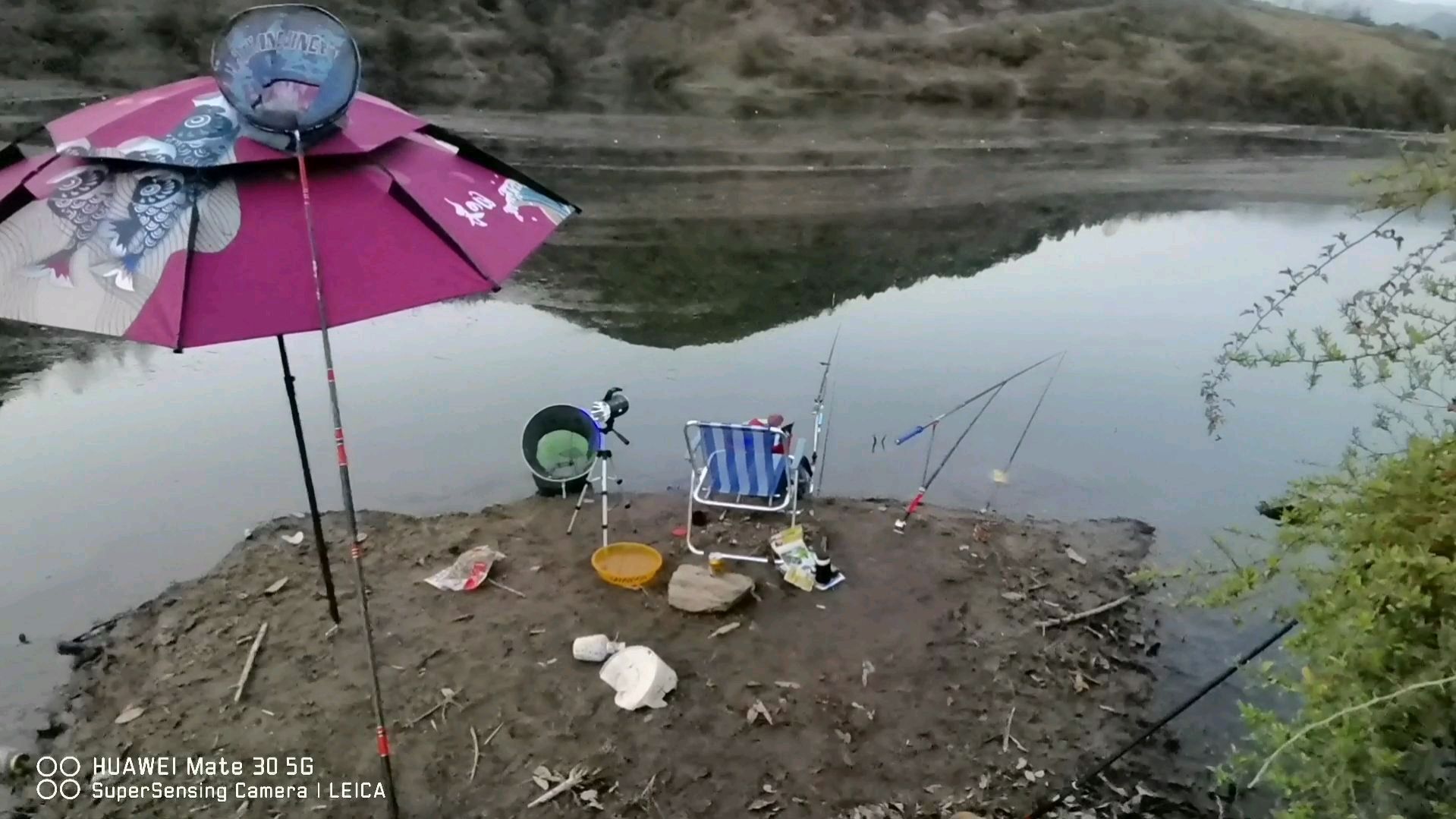 职业钓鱼人,出发垂钓汉中,大眼鱼你们当地叫什么鱼呢